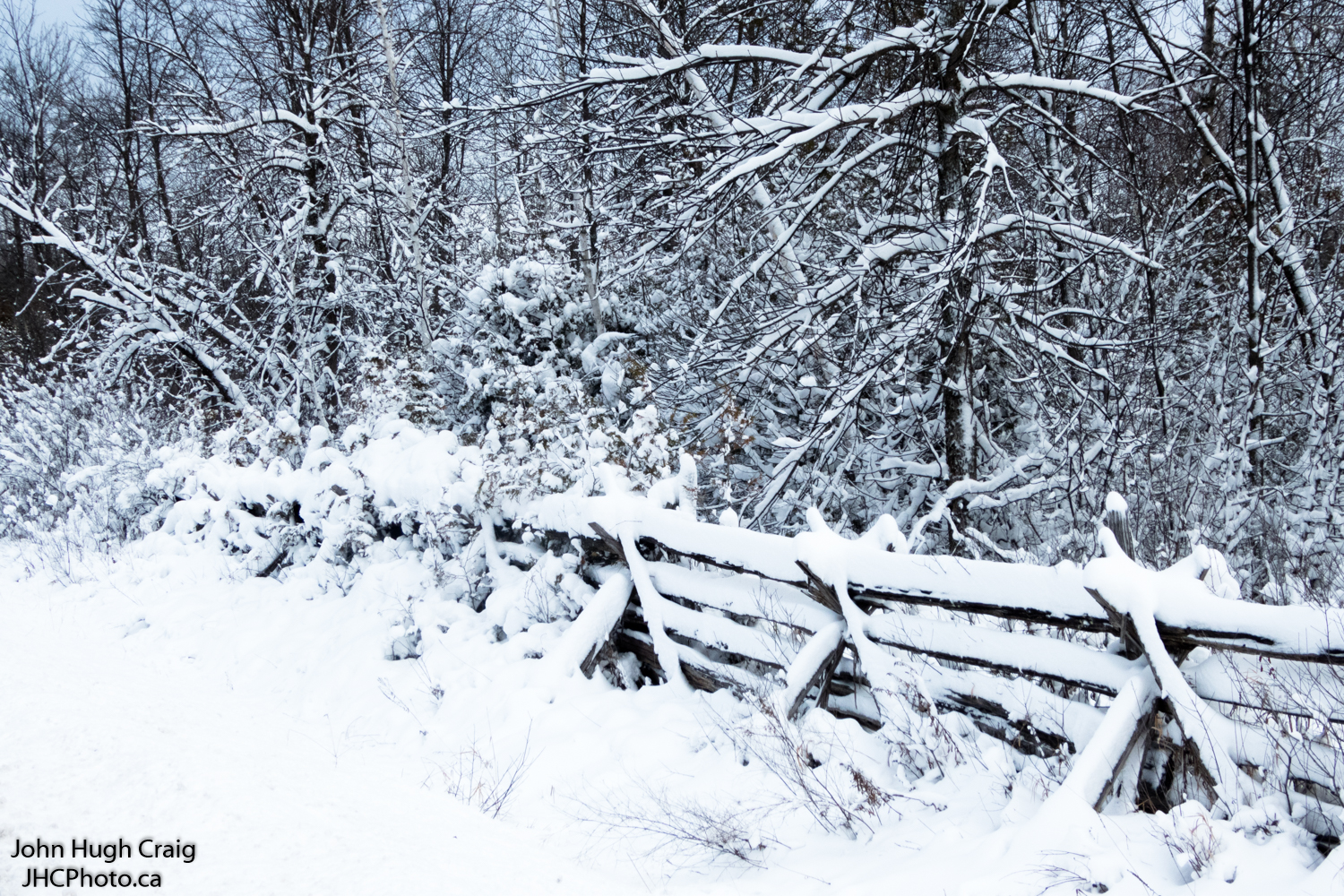 First Snow of Winter