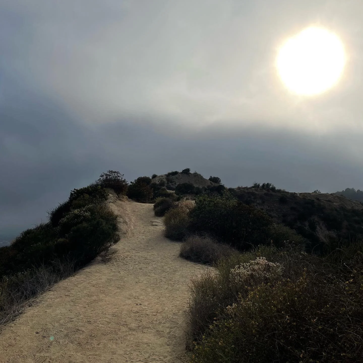 everything the light touches