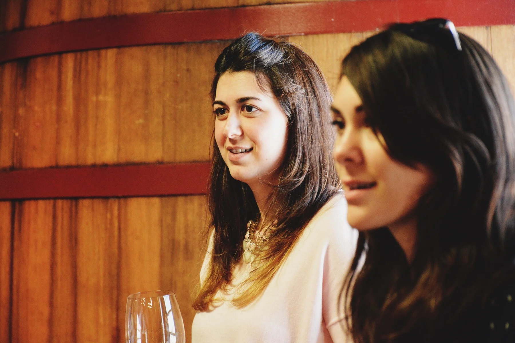 The Art of Wine: A Preview of 2015 Cabernet Franc