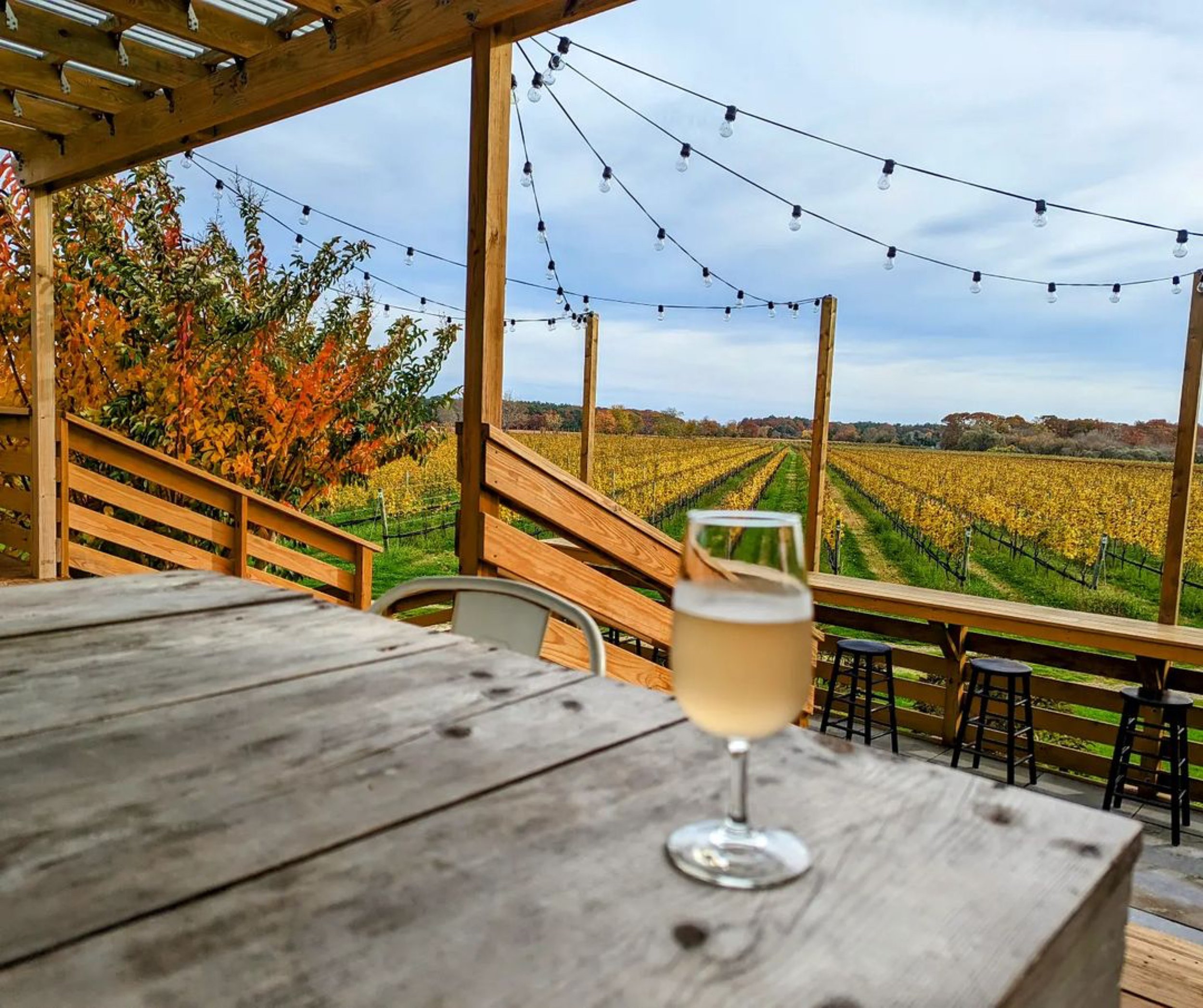 Friendsgiving at Corey Creek