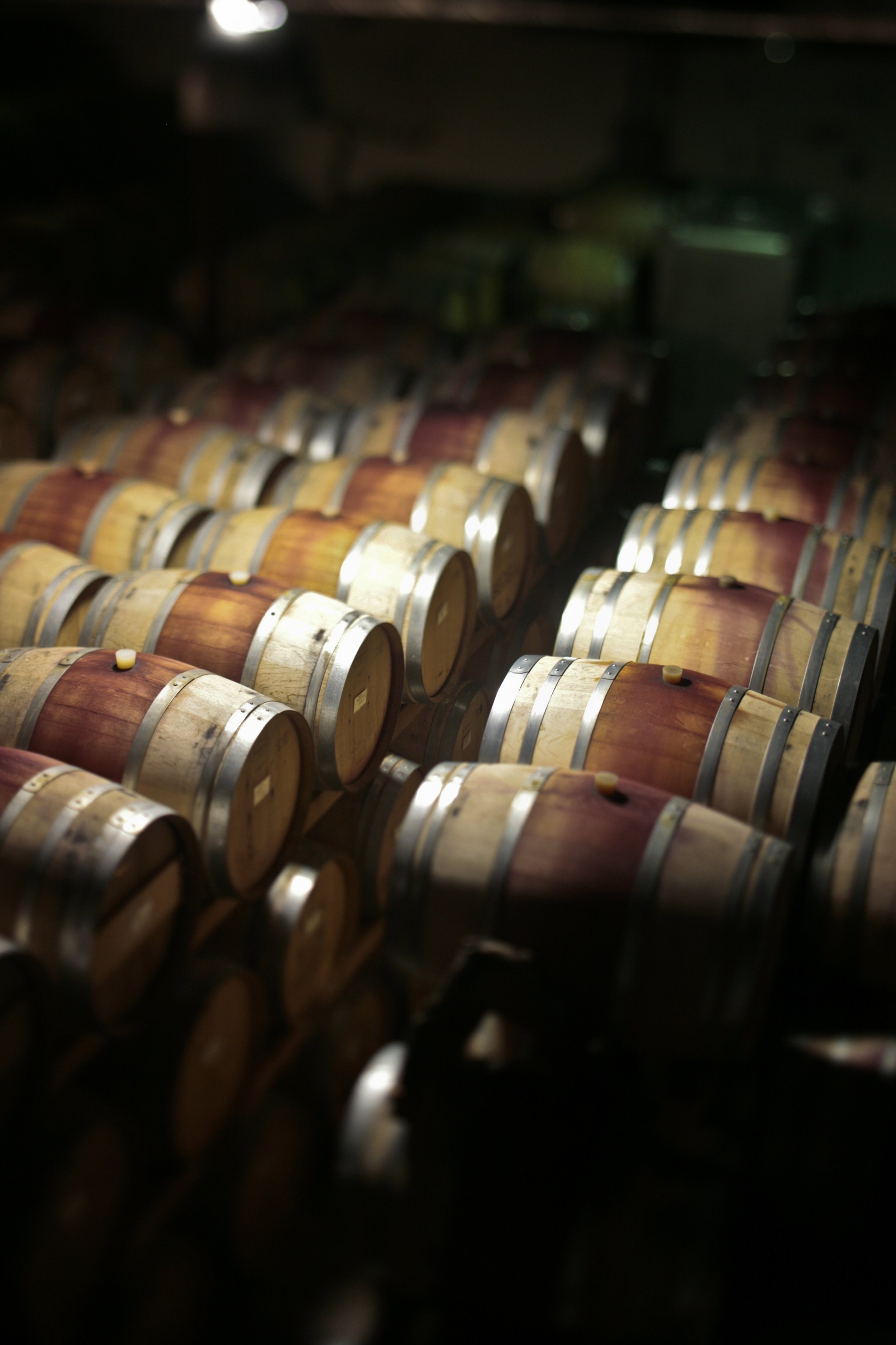 Our Wines banner.jpg