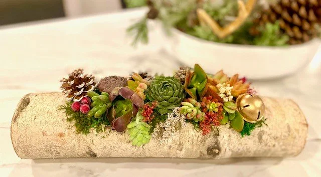 Holiday Succulent Workshop with Brunch Sips & Bites