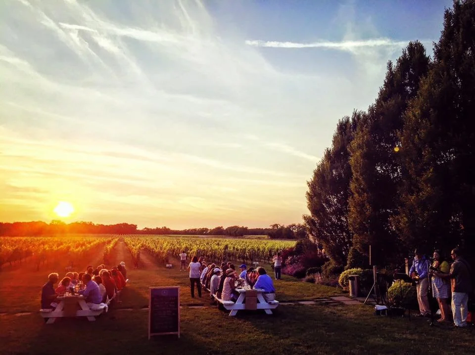 Vineyard Dinner at Bedell