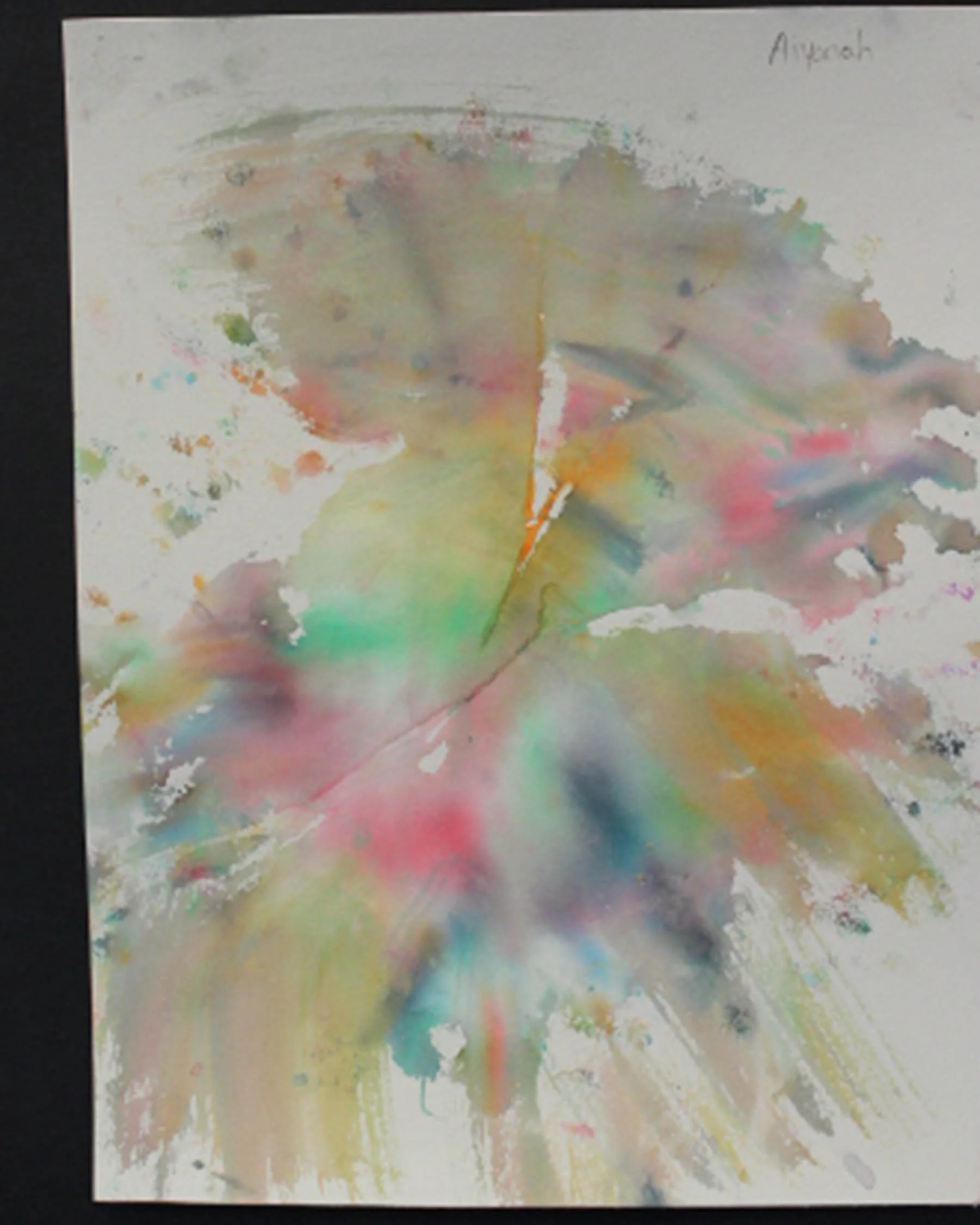 IMG_1355.JPG
