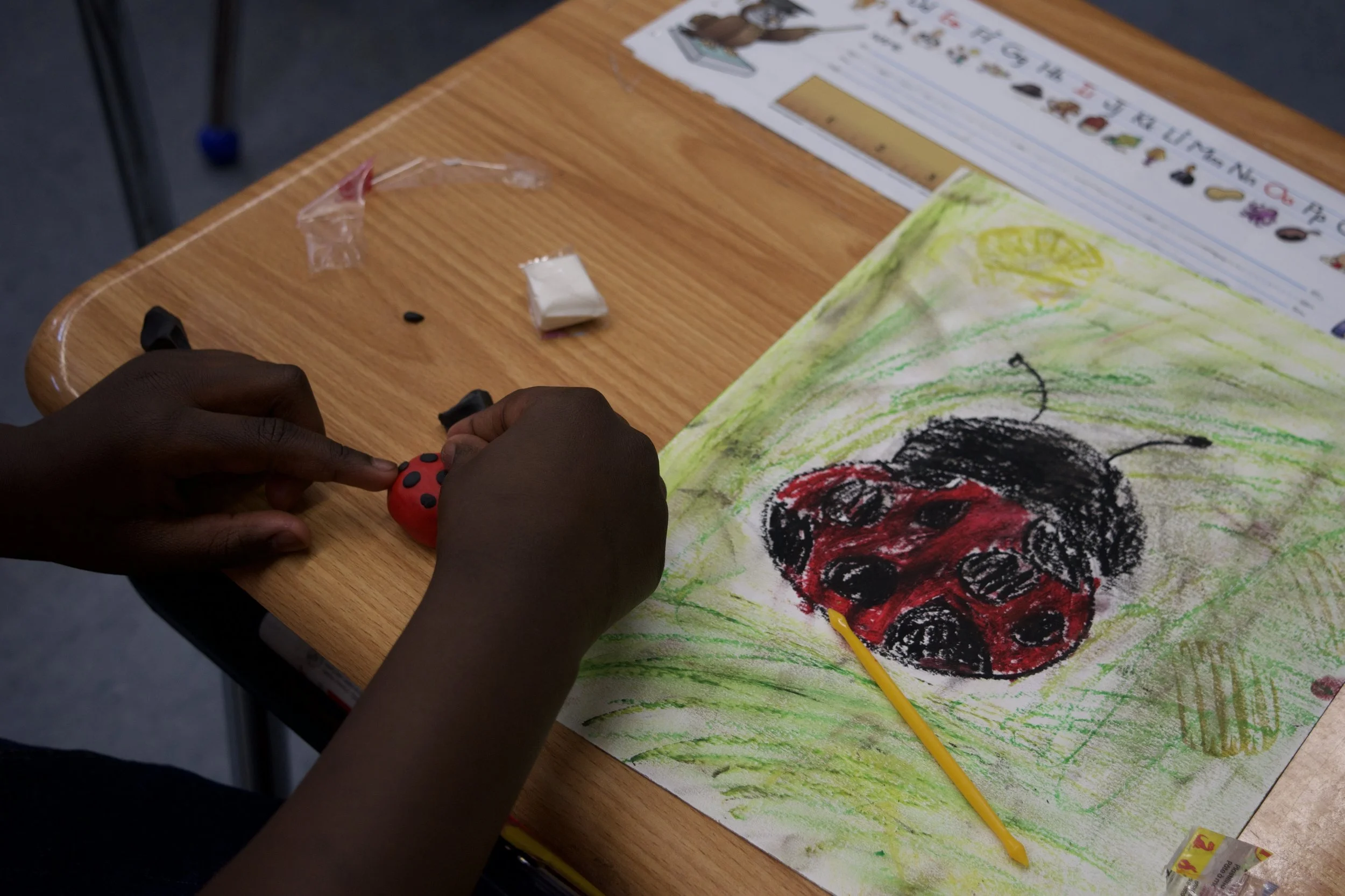 Metamorphosis in the Classroom