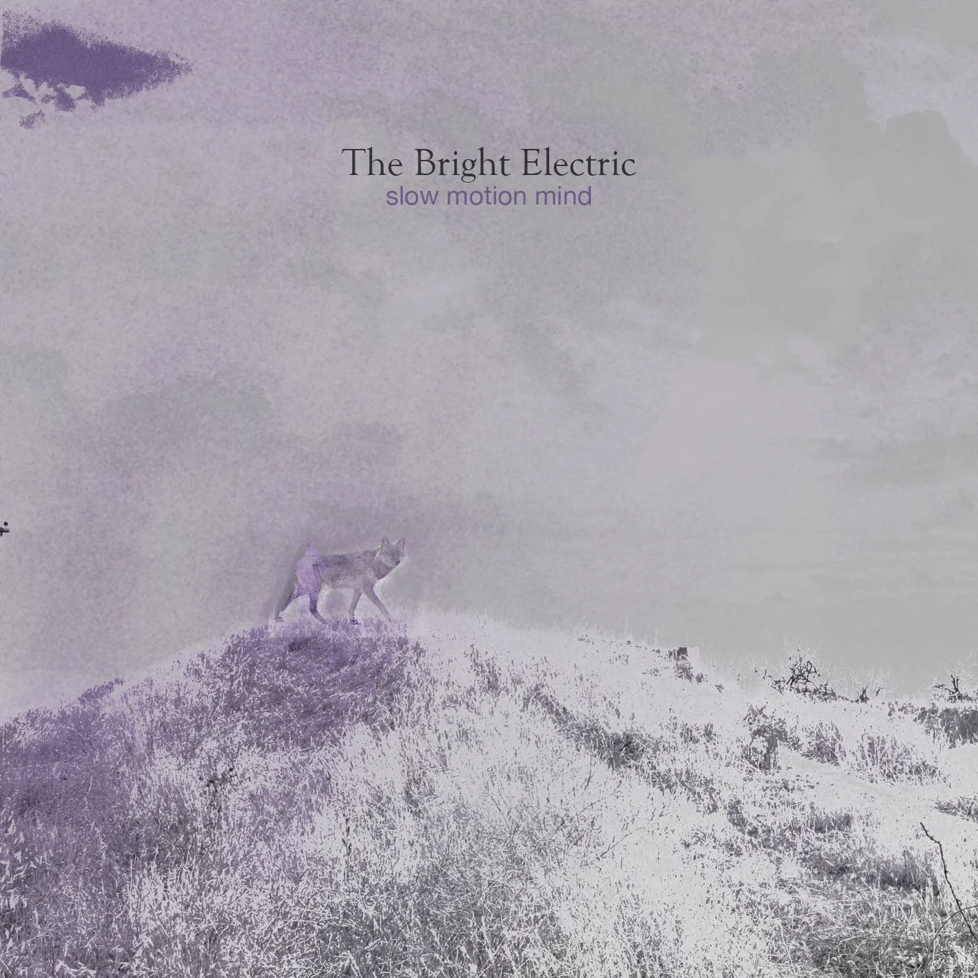    Slow Motion Mind - The Bright Electric   