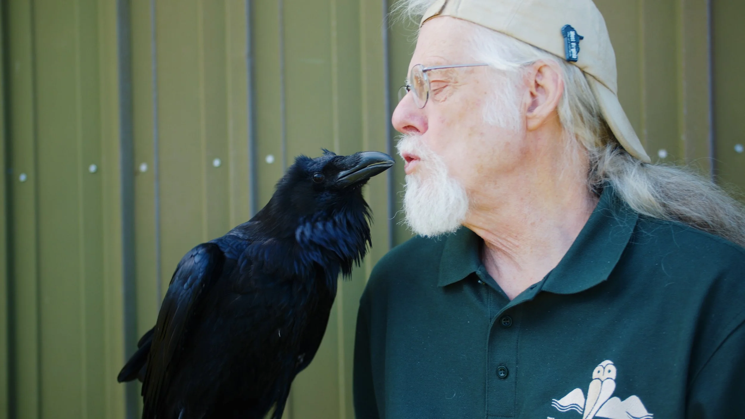 CELTIC FESTIVAL BROLL.00_29_58_22.Still001.jpg