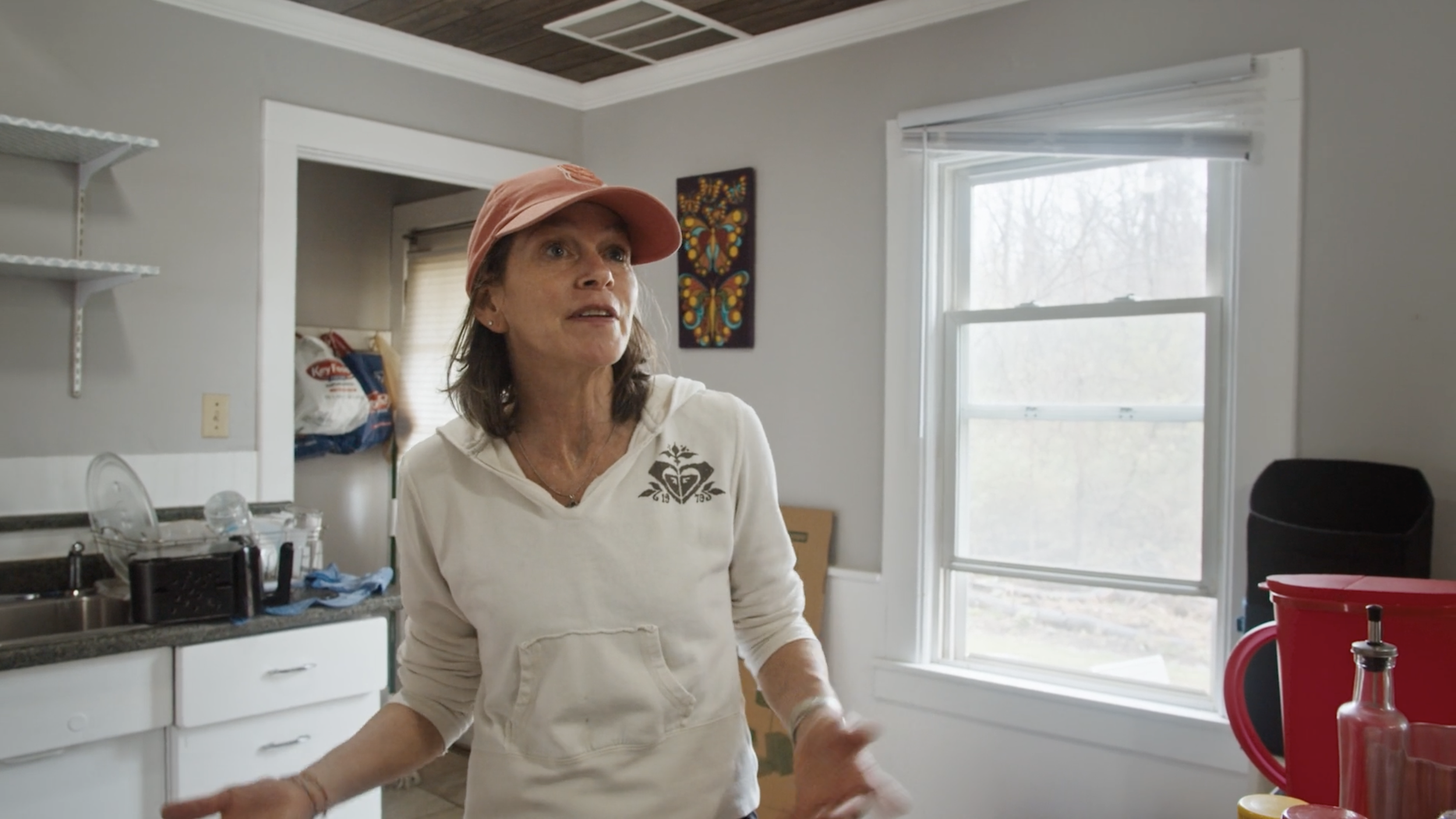 Lady in kitchen.png