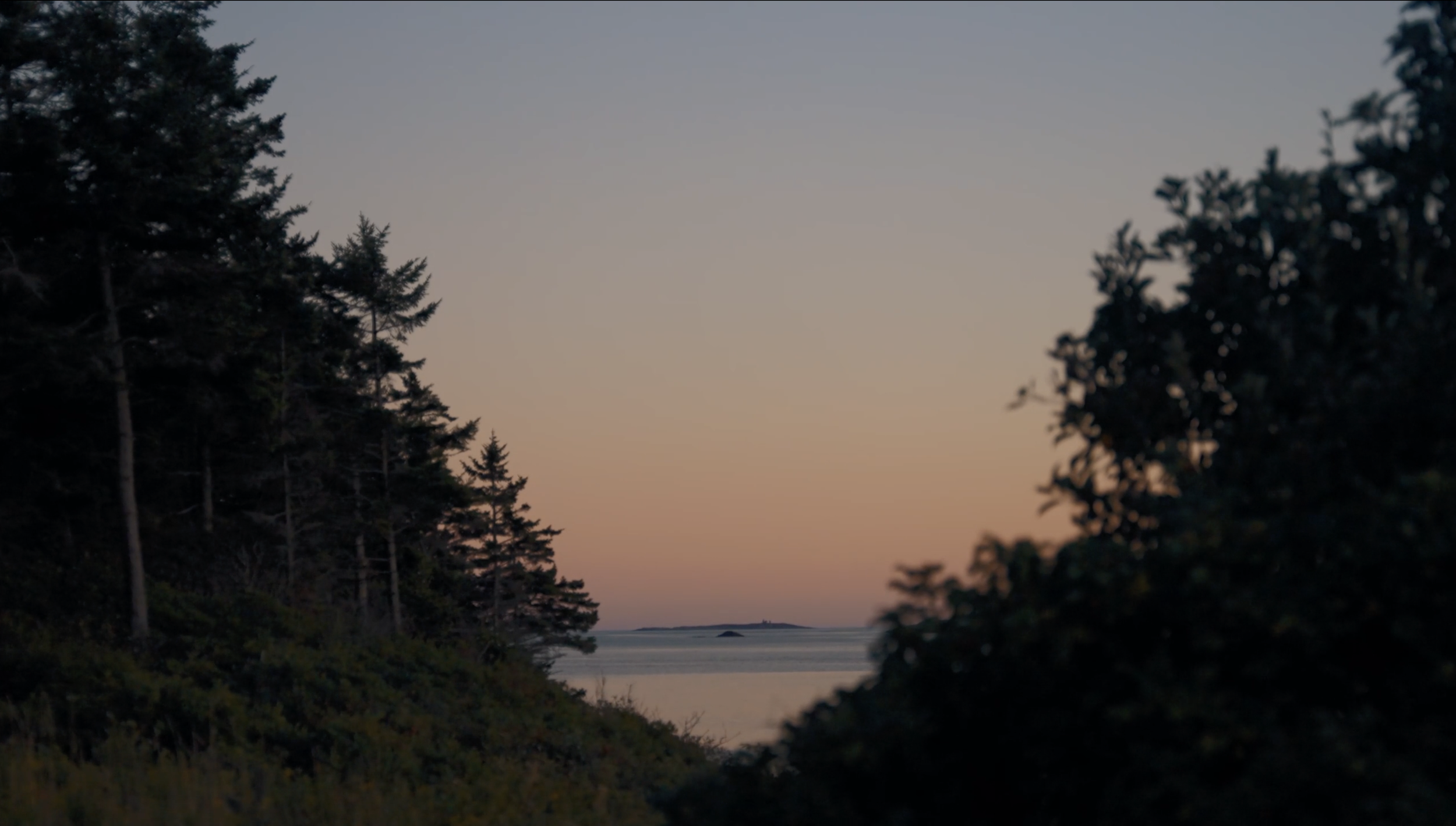 Trees Scenic .png