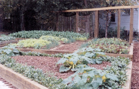 The Woodlawn Ecoscape, 2001 In 2004, members of the Little Garden Club produced a garden guide and monthly calendar featuring planting, fertilizing, pruning and conservation tips and organic gardening strategies. The Southern Roots Garden Guide provided an educational tool for the community as well as a fundraiser for future LGC projects and was reproduced with updated information in 2005. Many GCA Zone VIII garden clubs purchased Southern Roots for reference and as a model for their own future garden guides. LGC was proud to receive The 2005 Garden Club of America Public Relations Award for the 2005 Southern Roots Garden Guide.