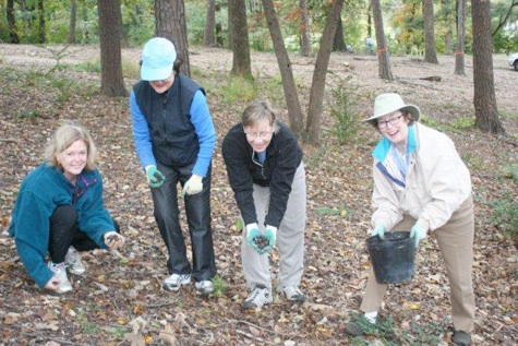 left to right, Jane Goings and Catherine Cabaniss, RMGC, Nancy Long and Trudy Evans, LGC, planting at George Ward Park engaged in an effort to re-seed a forested area of George Ward Park. Originally designed in the 1920s by the Olmstead Brotherslandscape firm, the park had suffered from no retention of mulch and, thus, no soil in which the original trees could re-seed themselves. Club members potted sprouted seeds collected by Mr. Hughes in the park and, with the help of neighborhood groups, planted Chestnut, Southern Red, White, Post, Blackjack and Black Oak; Shagbark and Red Hickory; Persimmon and Blackgum seedlings in October of 2009 and 2010. We will continue to pot seeds and plant seedlings through 2013. These trees are not available in the nursery trade and their suitability for this site was confirmed when only five seedlings out of approximately 75 planted in 2009 were lost over the course of the hottest and one of the driest summers on record in this area. In October of 2010 the GCA Horticulture Conference: Shirley Meneice was held at the Birmingham Botanical Gardens. Sponsored by GCA’s horticulture committee, the conference was co-hosted by The Little Garden Club and Red Mountain Garden Club. A steering committee of LGC and RMGC members met weekly for a year to plan speakers, tours and workshops, register 180 attendees and administer the treasury. Members of both clubs served as hostesses during a stimulating meeting, attended and applauded by none other than Mrs. Shirley Meneice herself. In January of 2011 we produced our first online newsletter, which reminds members of upcoming events and meetings, includes club minutes, and highlights individual achievements at the club level as well as in GCA. In November of 2011 we will sponsor an estate sale, proceeds from which will help fund speakers and exhibits at the 2014 Zone VIII meeting, which we look forward to hosting. As to the future, we plan to keep members informed in our traditional areas of interest - horticulture, conservation and floral design - and to make a difference in the community in these areas, continuing the legacy set forth by our founding members.