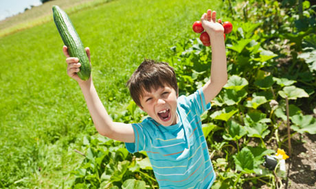 pop-up-farm1.jpg