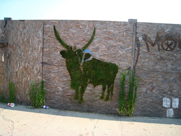 EcoGraffiti1.jpg