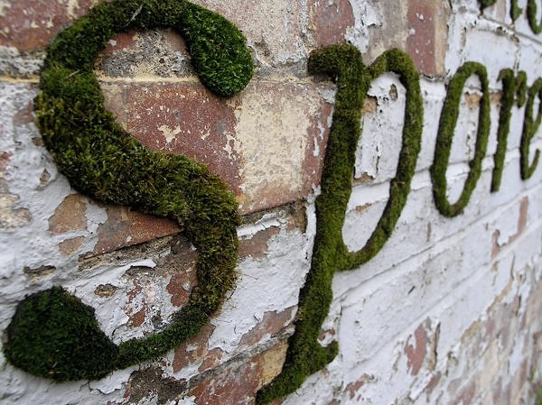 EcoGraffiti2.jpg