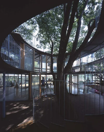 TreeClassroom7.jpg