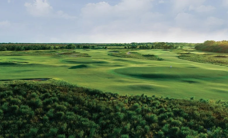 Trinity Forest.jpg
