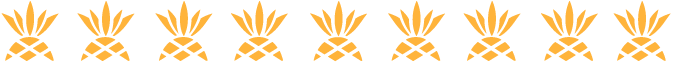Pineapple Banner.png