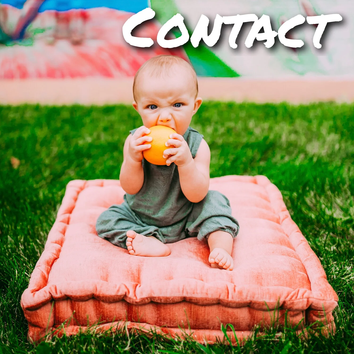 Homepage Contact.JPG