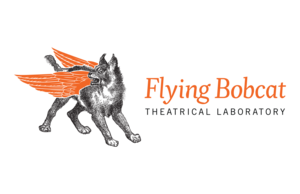  http://flyingbobcat.org 