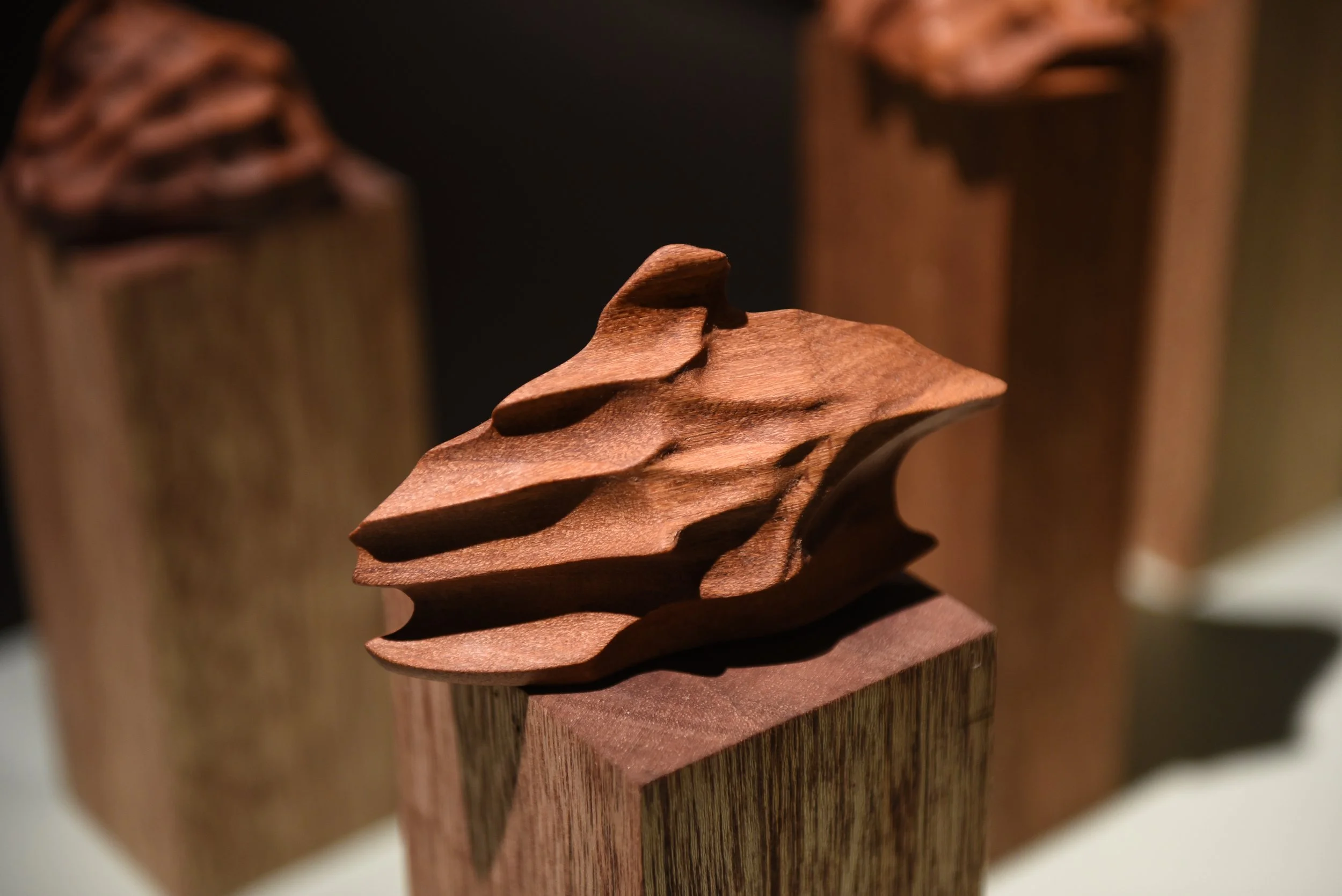 dsc_0386_53101915897_o copy.jpg