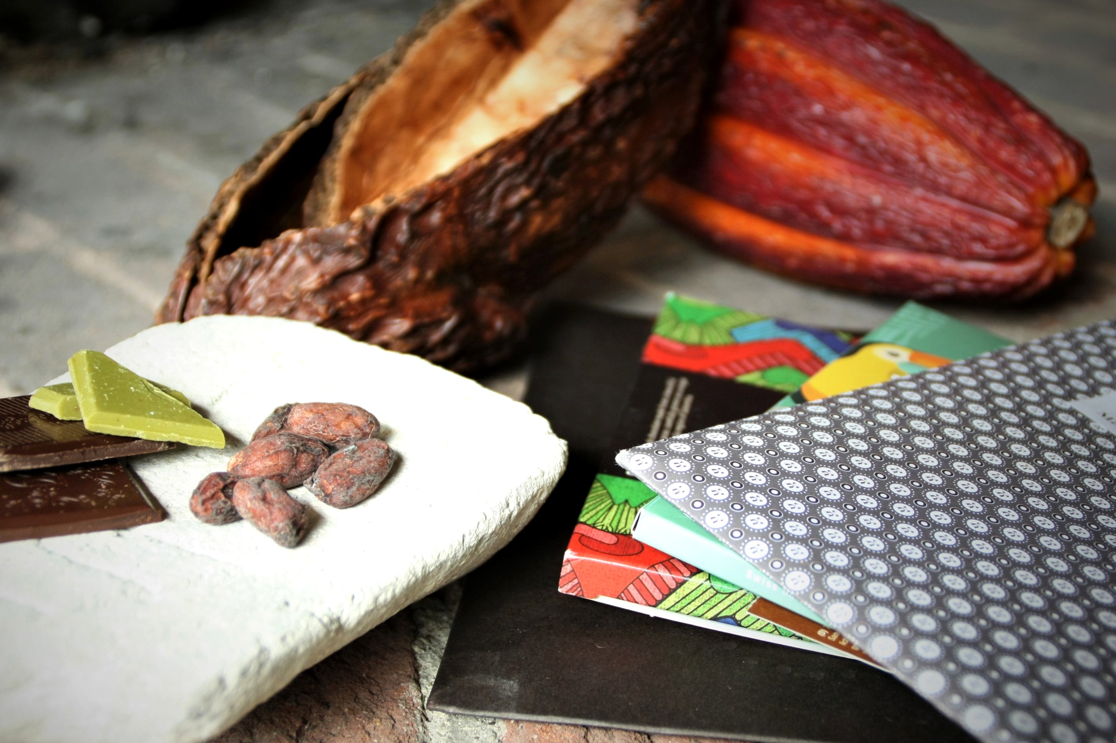 Degu+ZH8+-+Xocotour+Suisse.jpg