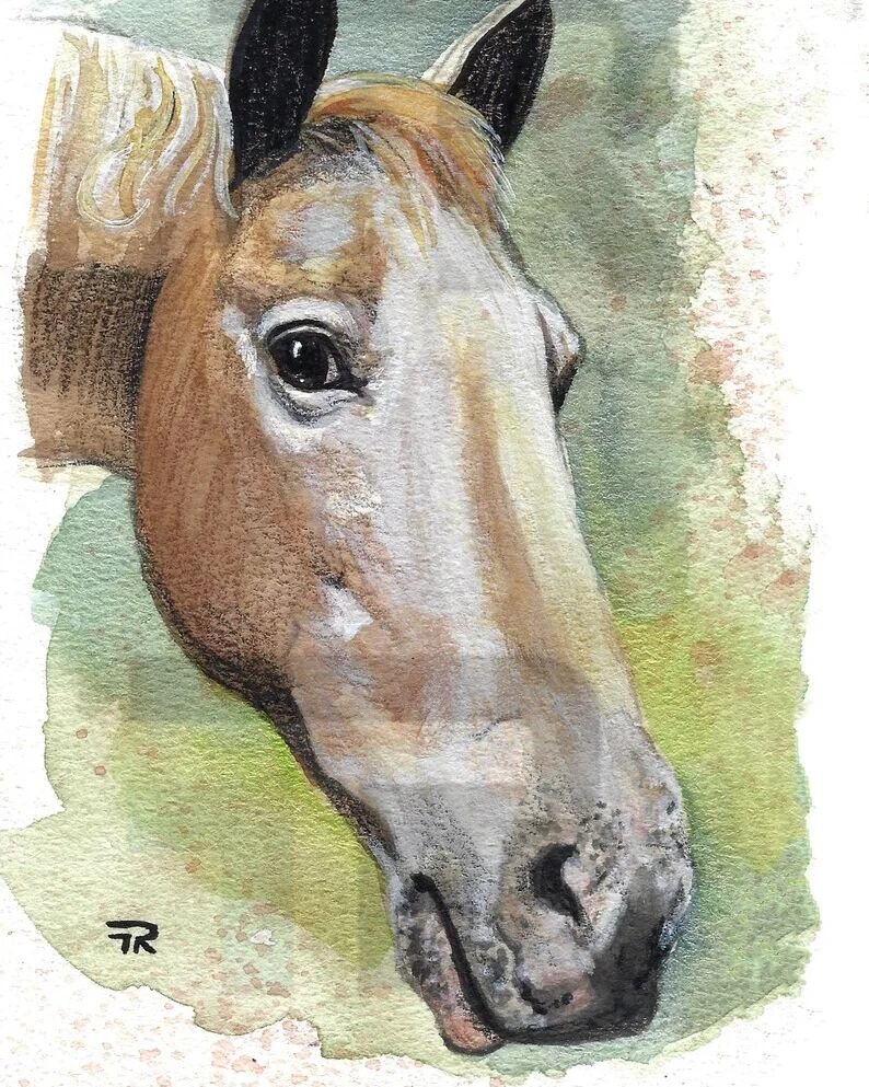 A little reminder that you're not just restricted to dogs and cats alone! My custom pet portraits are available in a variety of species. 😚 #petportrait #horseportrait #horsepainting #watercolorpainting
