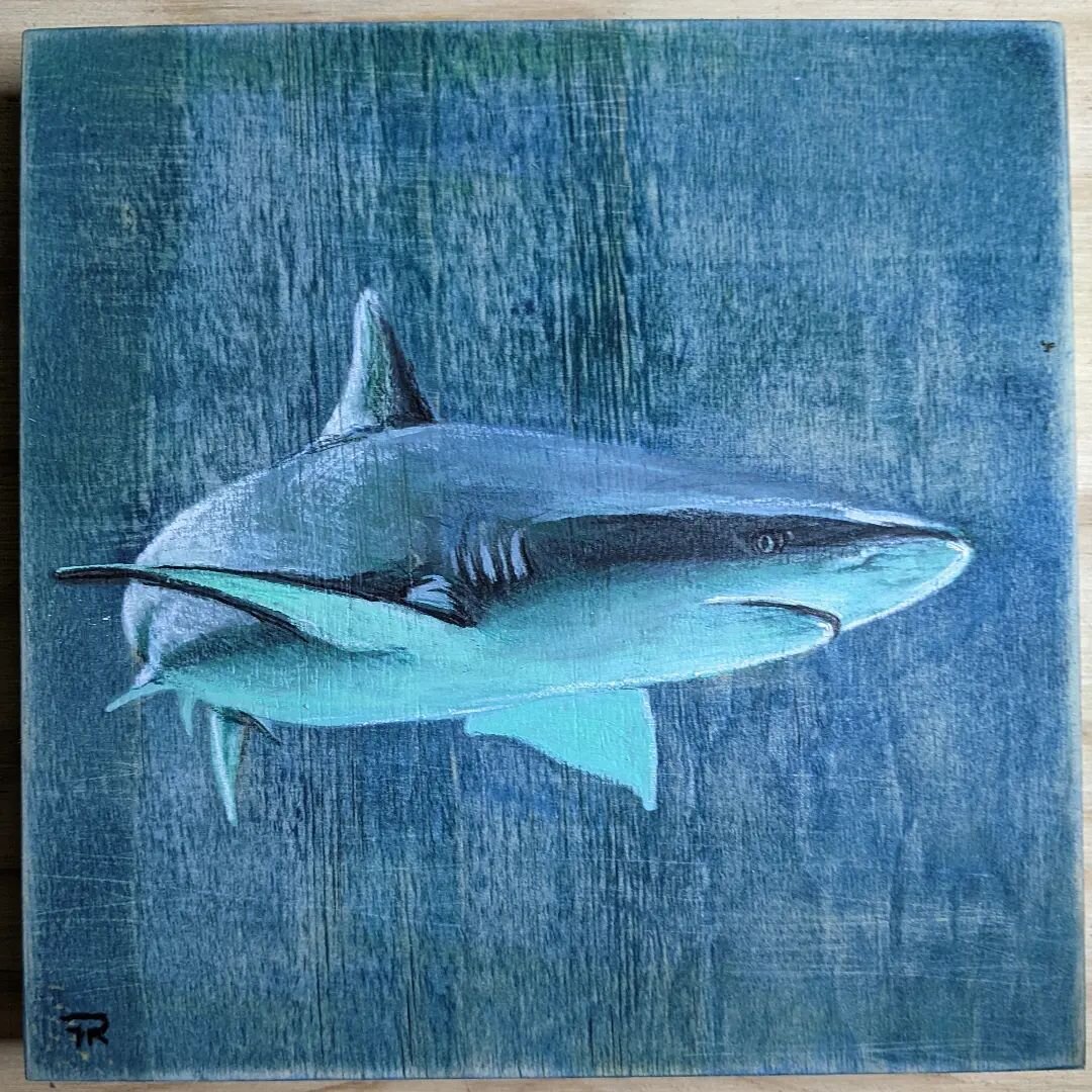 Shark - Acrylic on Wood #wildlifeartist #sharkpainting #woodpainting #shark #acrylicpainting
