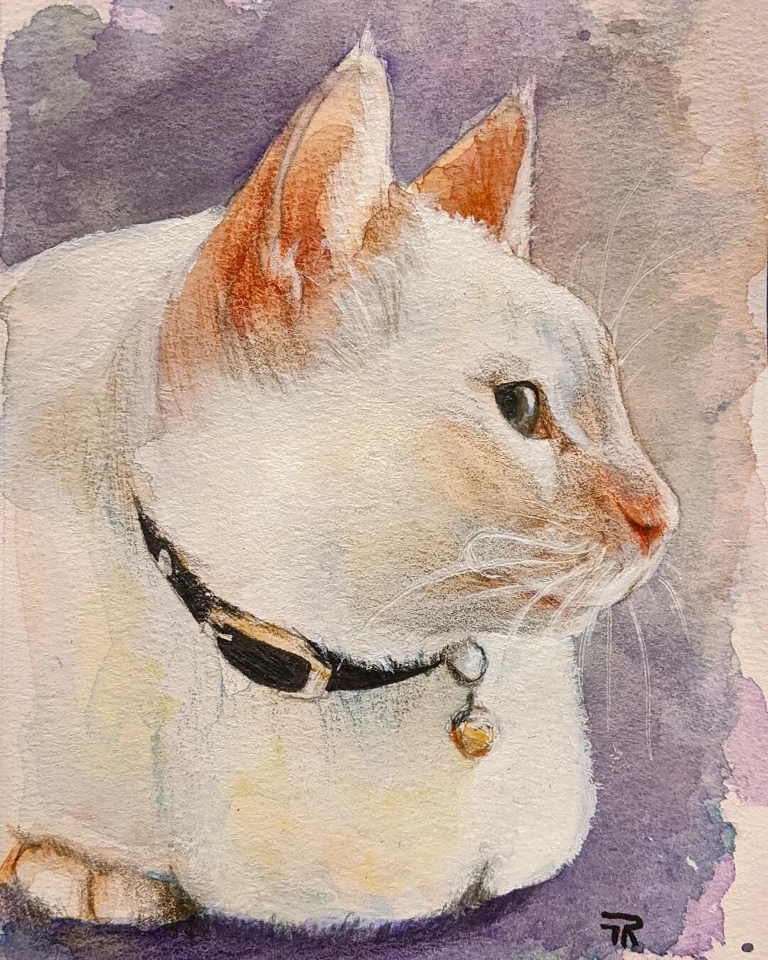 Now is the time to start placing your orders for Christmas! Here's an example of a custom portrait from last year. #custompetportrait #watercolorportrait #catpainting