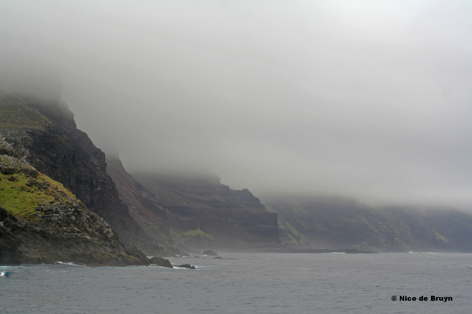  Misty cliffs in Crawford Bay, south coast of Marion Island. Photo credit: Nico de Bruyn 