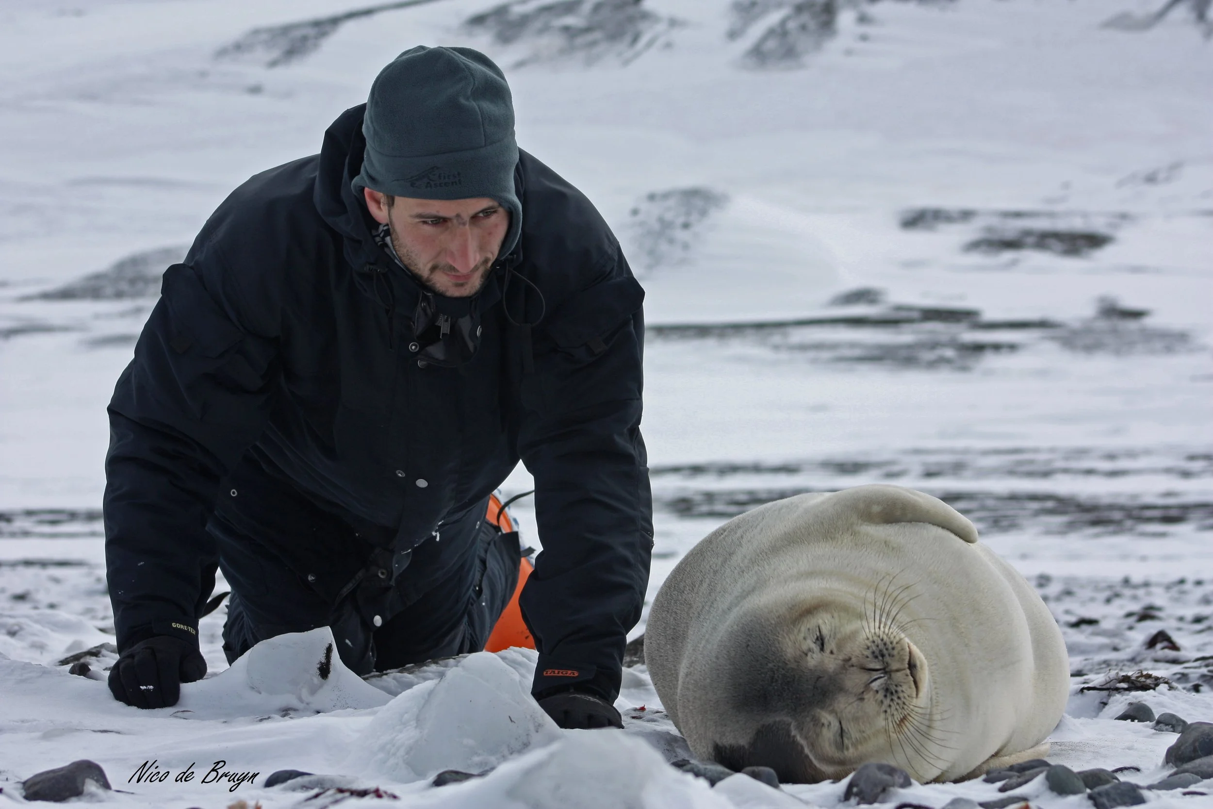 Ryan Reisinger and a young Weddell seal at King George Island, Antarctica. Photo: Nico de Bruyn