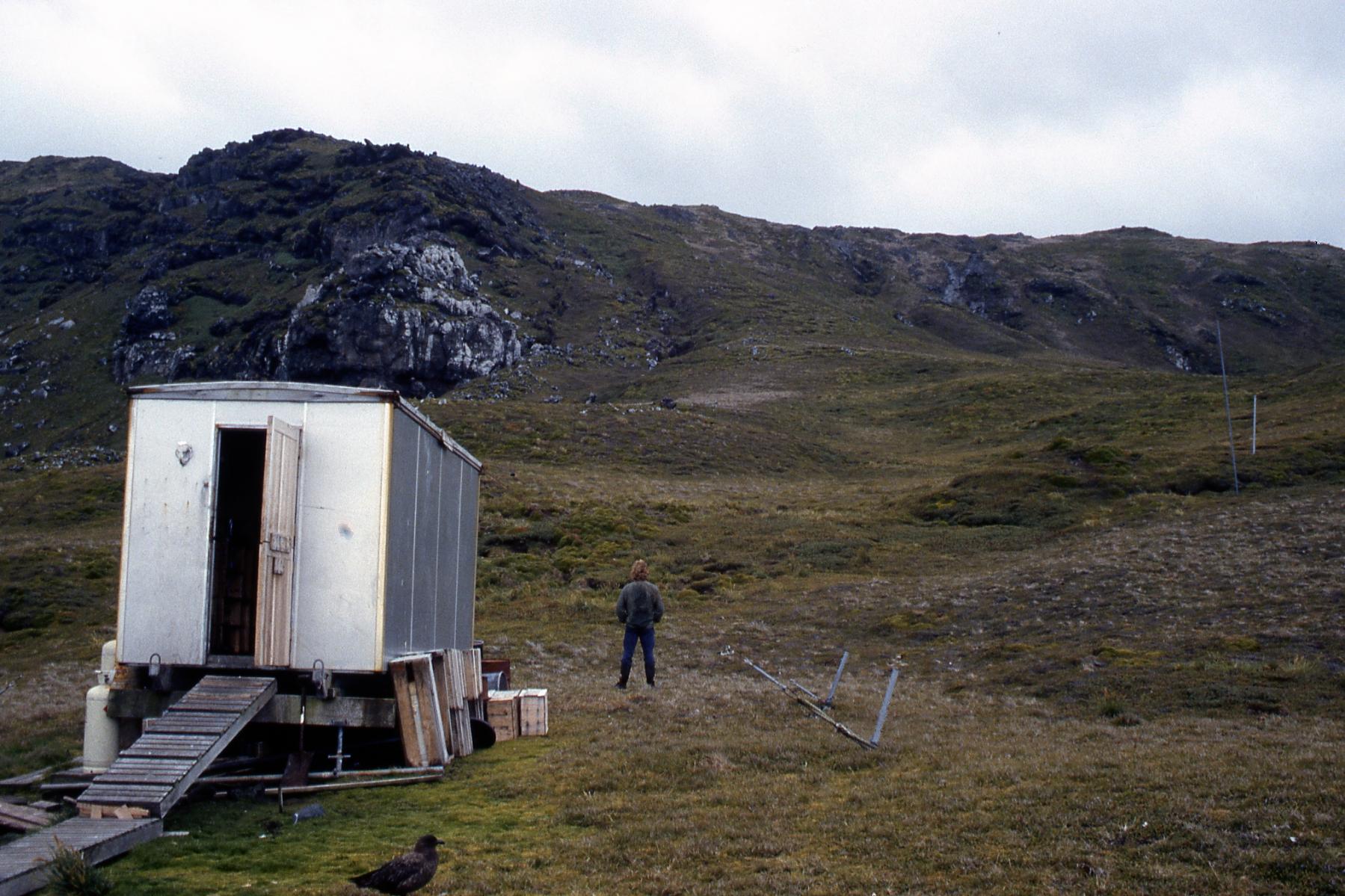  Mixed Pickle ski-cabin ~1989. 