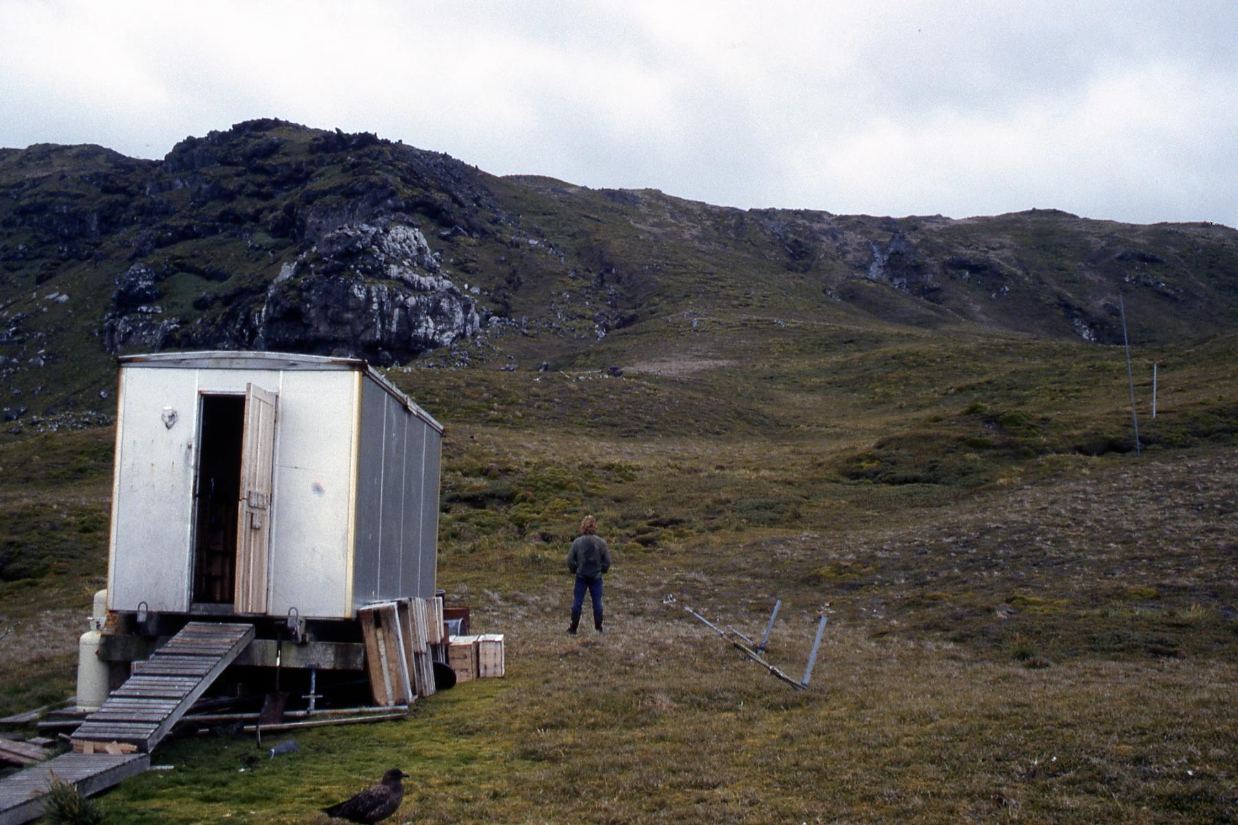 Mixed Pickle ski-cabin ~1989.