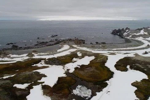 A view from Harmony Point over to Robert Island in the background (Chris Oosthuizen)