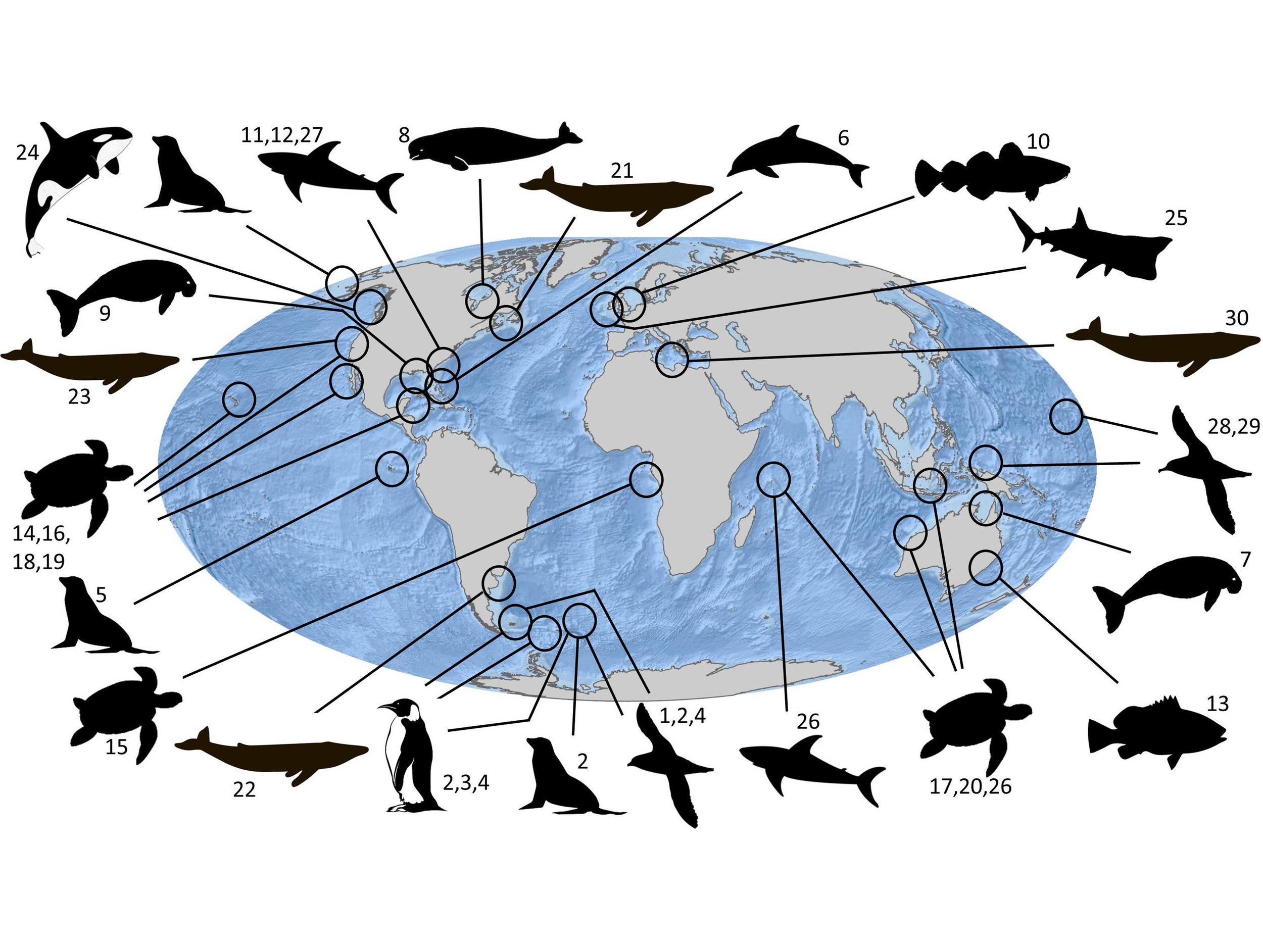 Эволюция экология. Ecology and Evolution. Trends in ecology and Evolution Journal. Animal tracking.