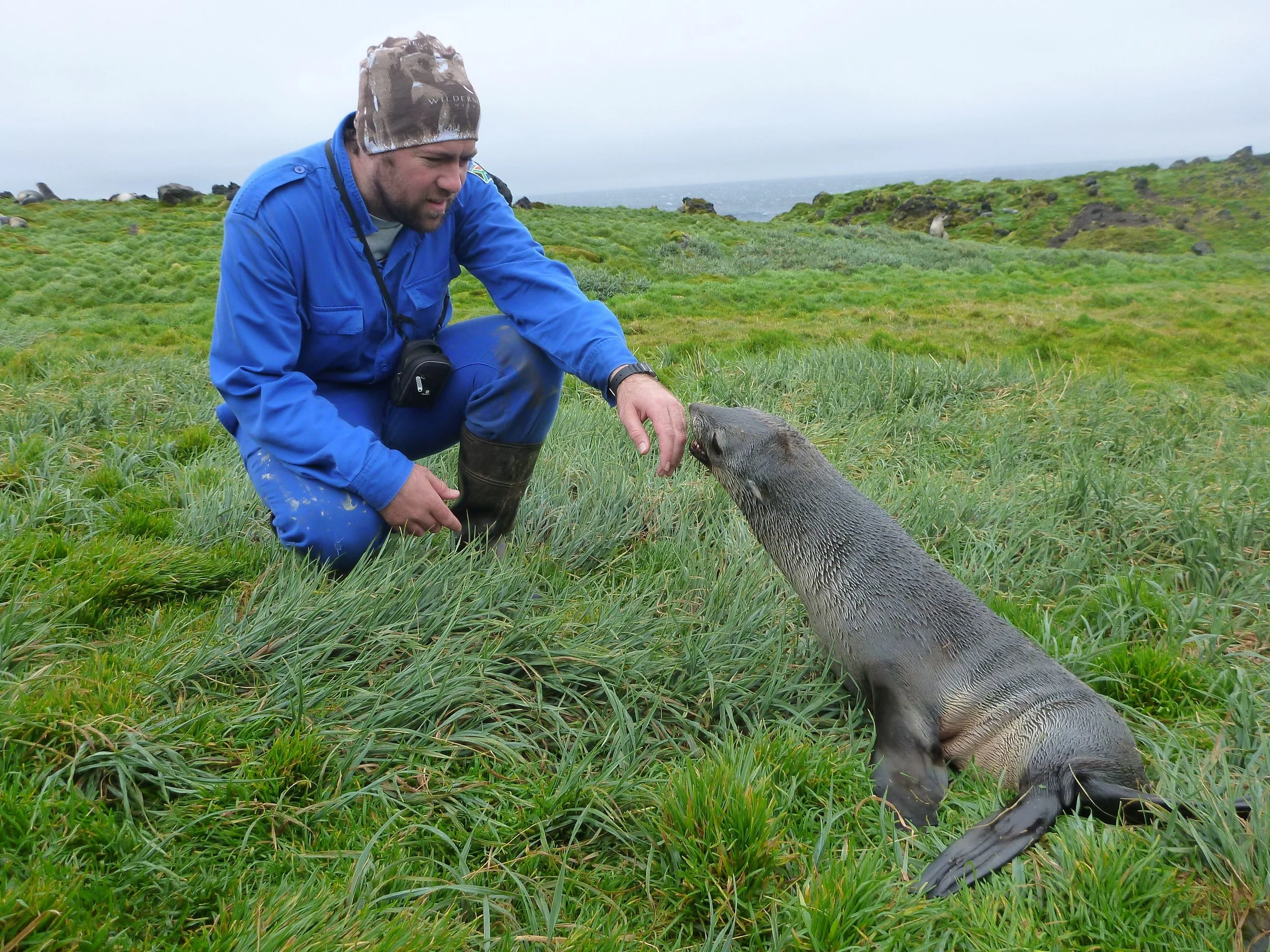 Prof de Bruyn on Marion Island.