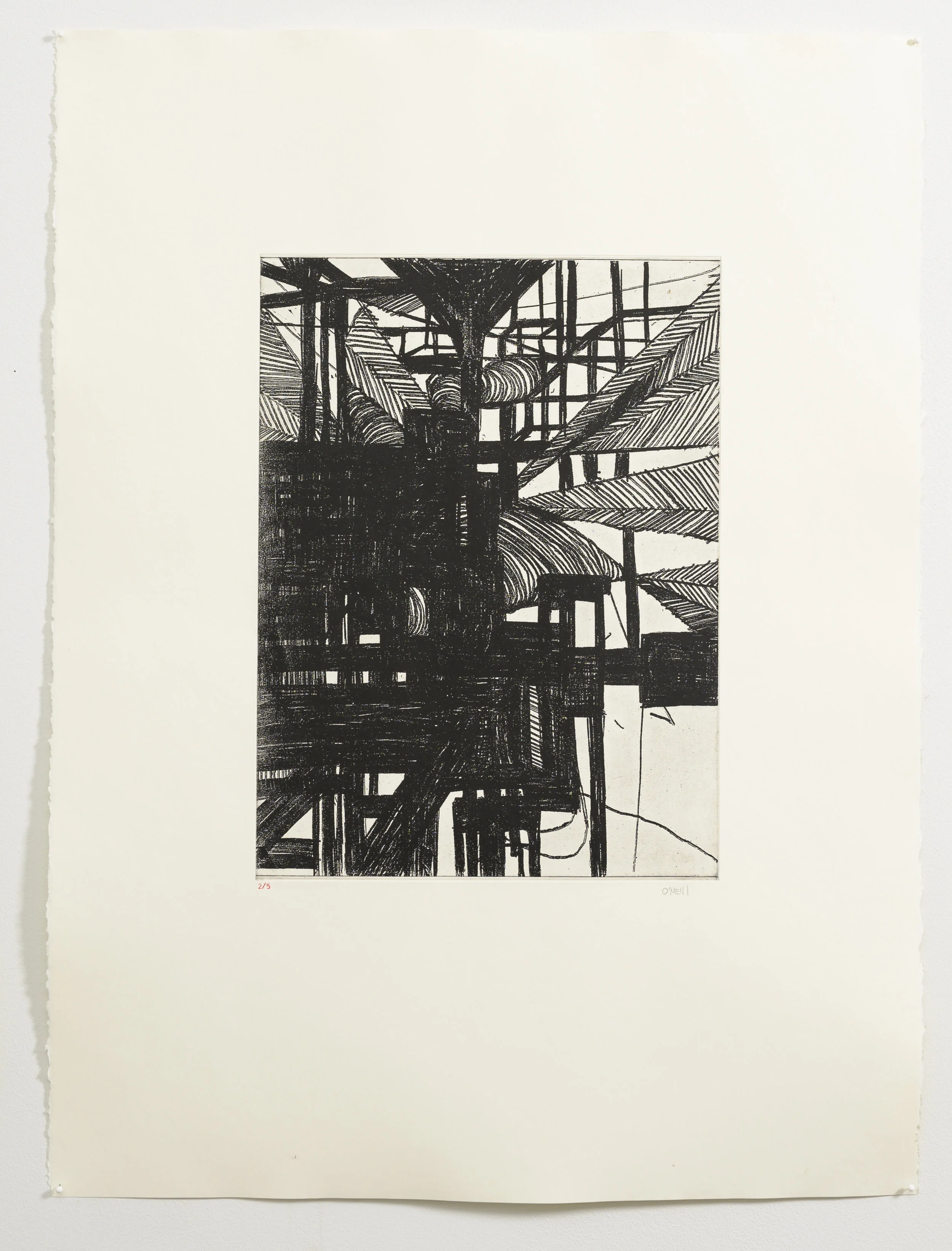 Telephone Print Series, 2018 Edition of 10 solar plate prints Image is 16 x 24”