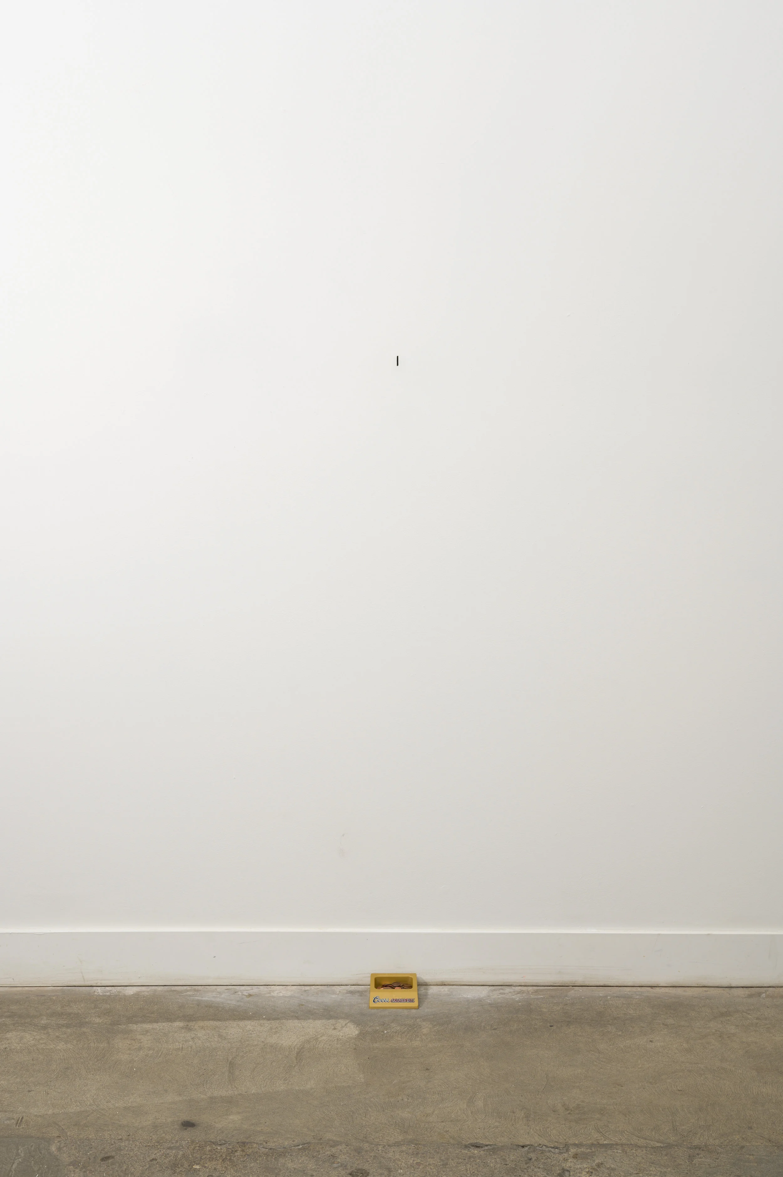 Wishing Wall, 2019 Plastic penny tray, cut hole Dimensions variable