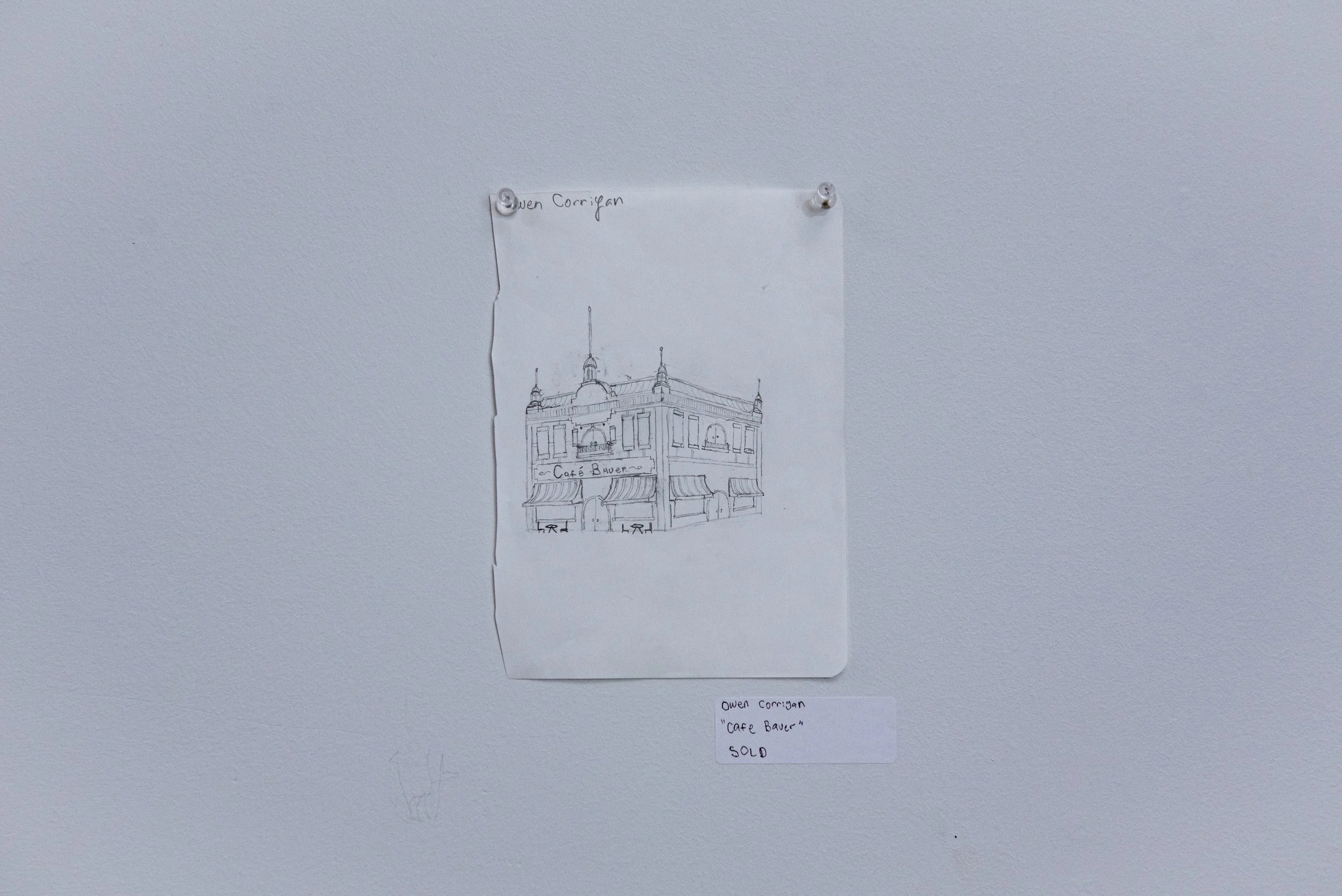 Owen Corrigan, Cafe Bauer