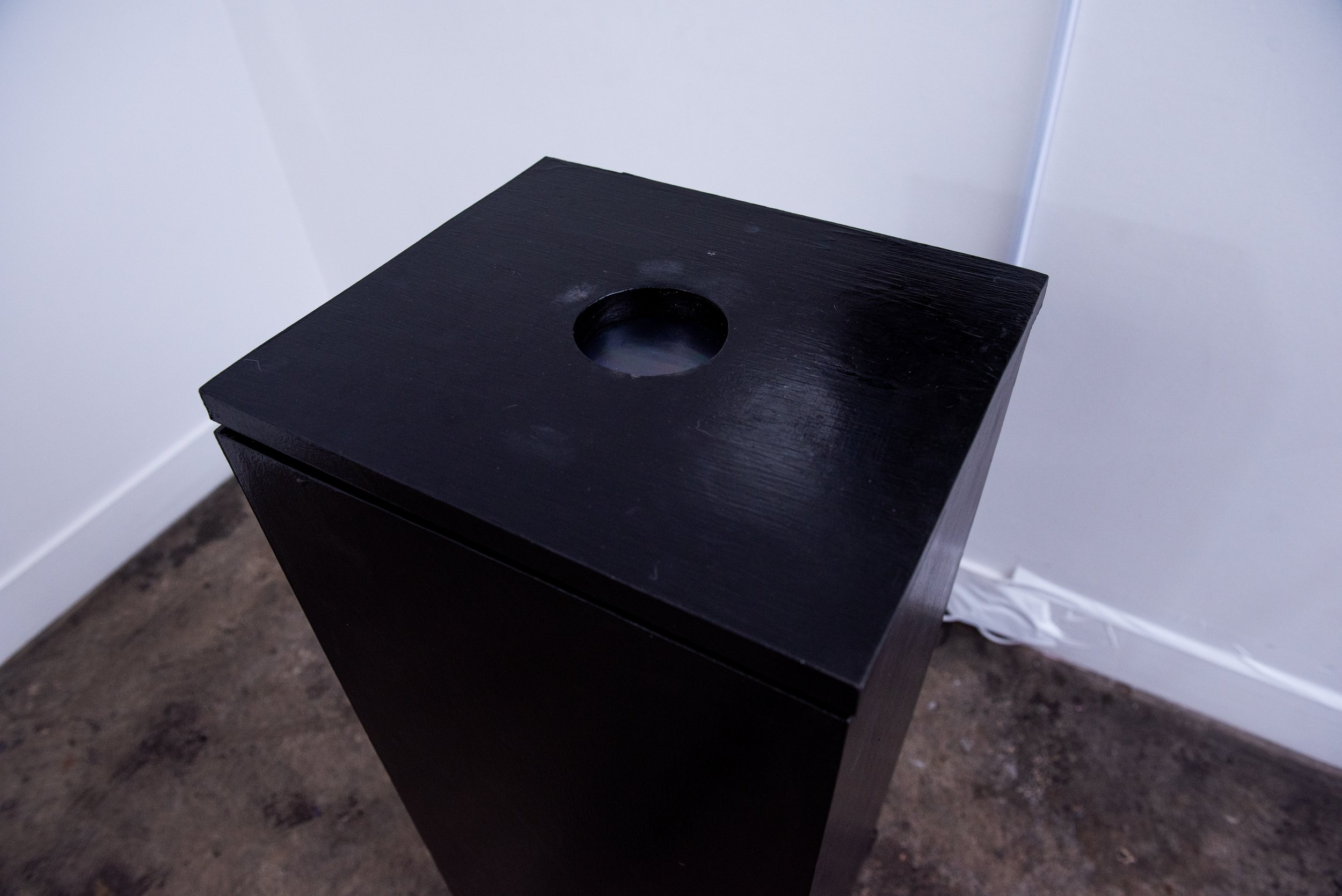 Srikar Hari, 'Through the looking glass', 2025, Video projection, Dims variable; Curated by Sharifa Lafon