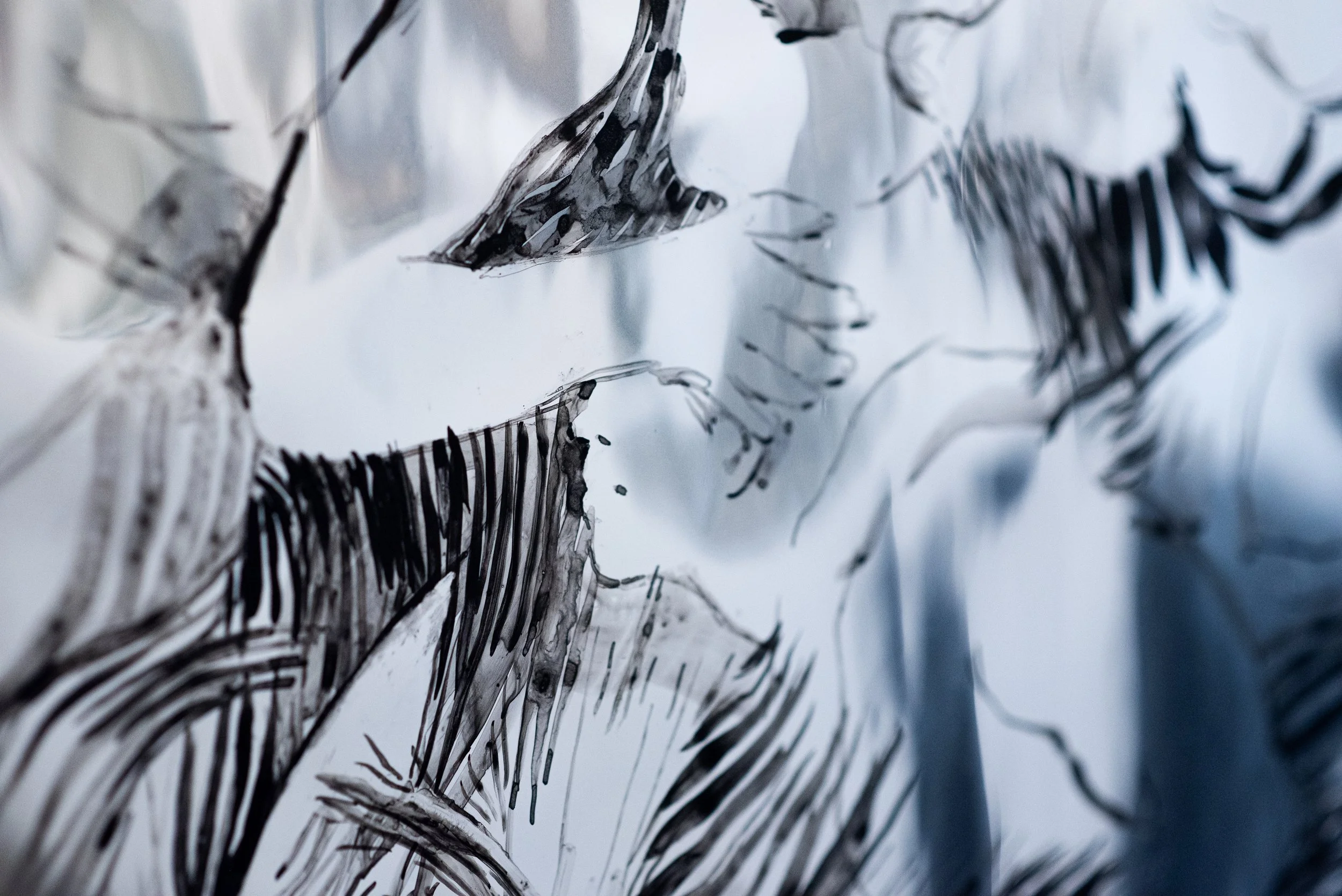 Detail view, Lisa Larson Walker, 'Echo embraced', 2025, Ink on mylar, 32 x 48 in. ; Curated by Mansour Al-Amin