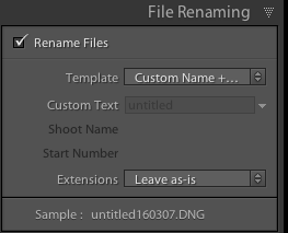 Lightrooom Tutorial Importing.png