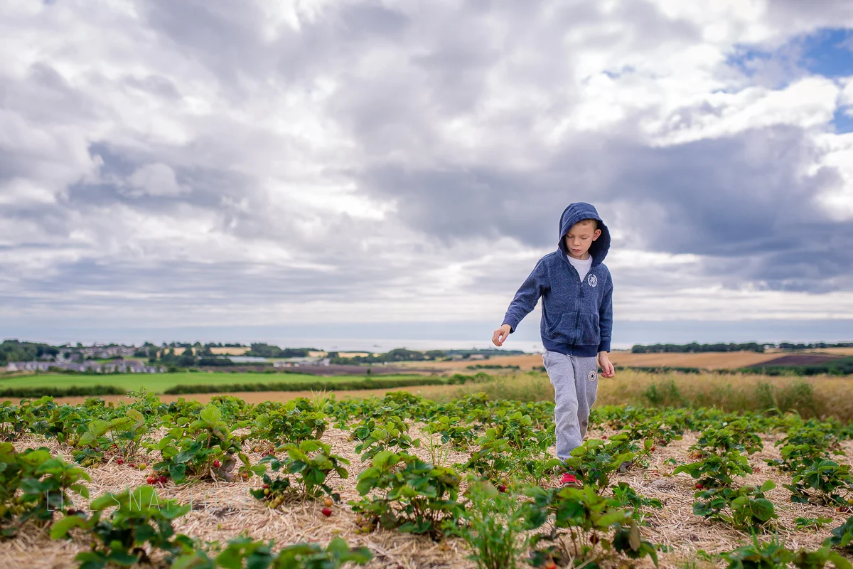 Strawberry Picking _160814_63.jpg