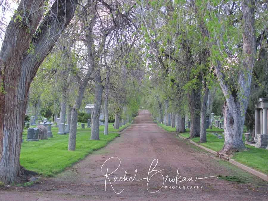 2015 - Rebekah’s cemetery