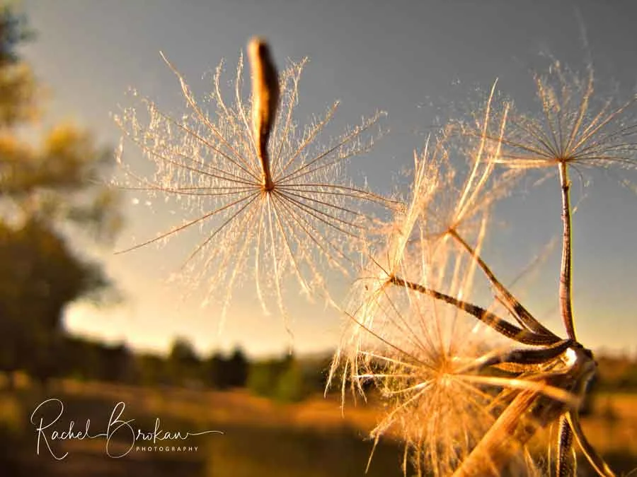 2015 - Hard to say Goodbye
