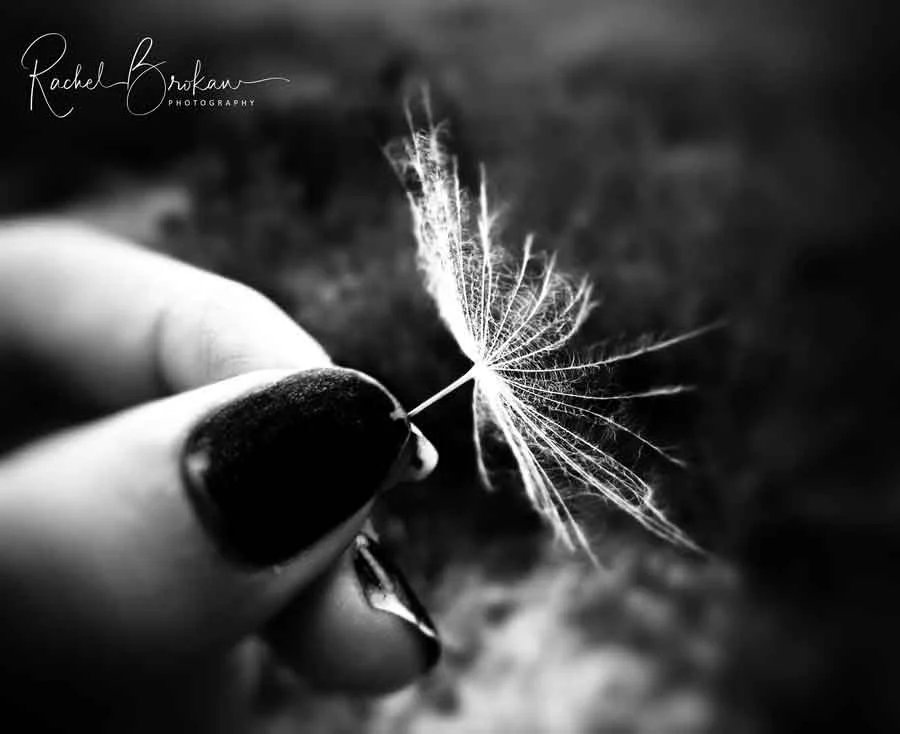 2015 - I was never ready to let you go