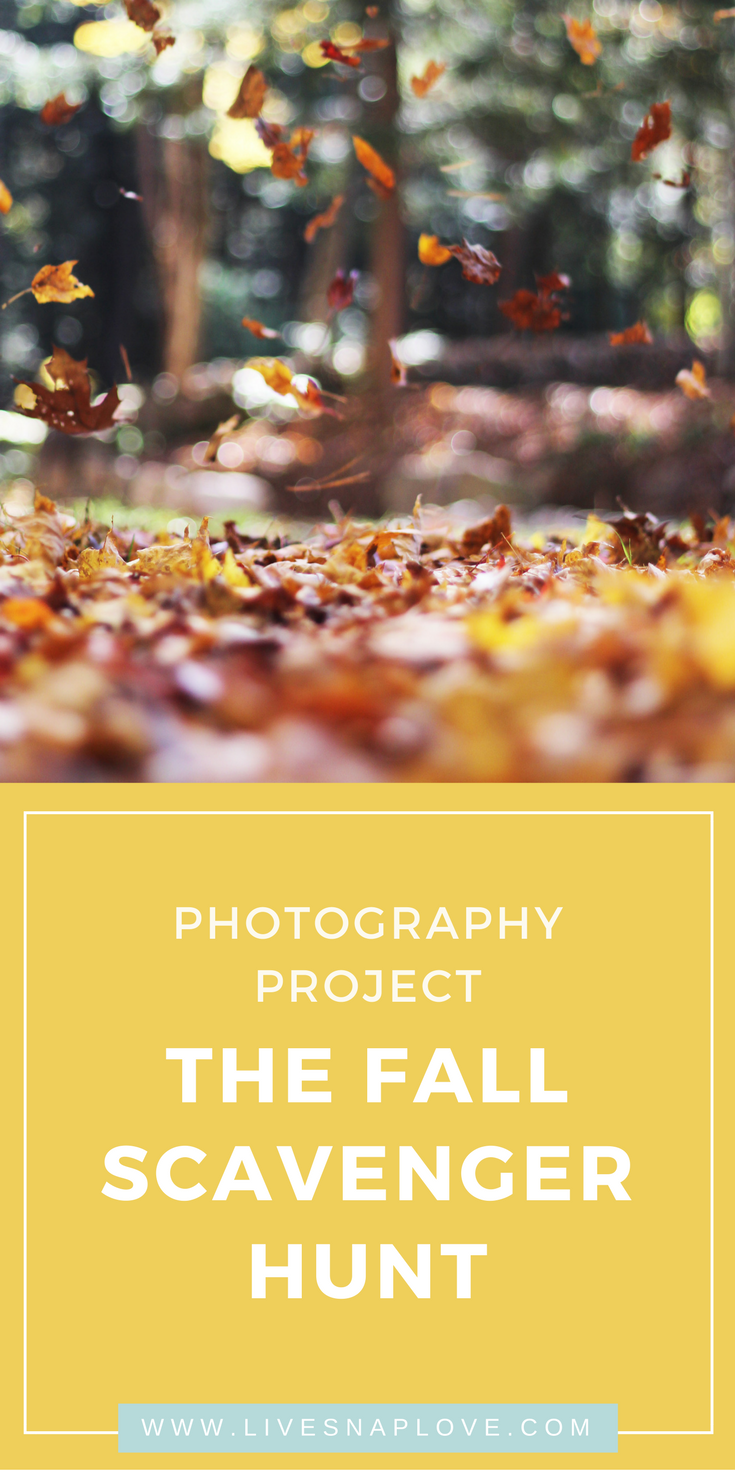 Photography Project for Fall: The Fall Scavenger Hunt — Live Snap Love |  Photography Tips