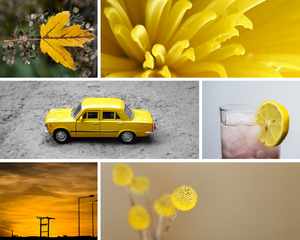 Creativity Exercise: Produce a Photo Series