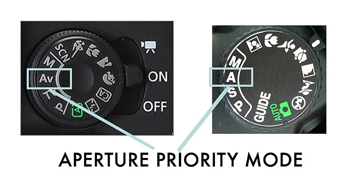 how-to-shoot-in-aperture-priority-mode-1.jpg