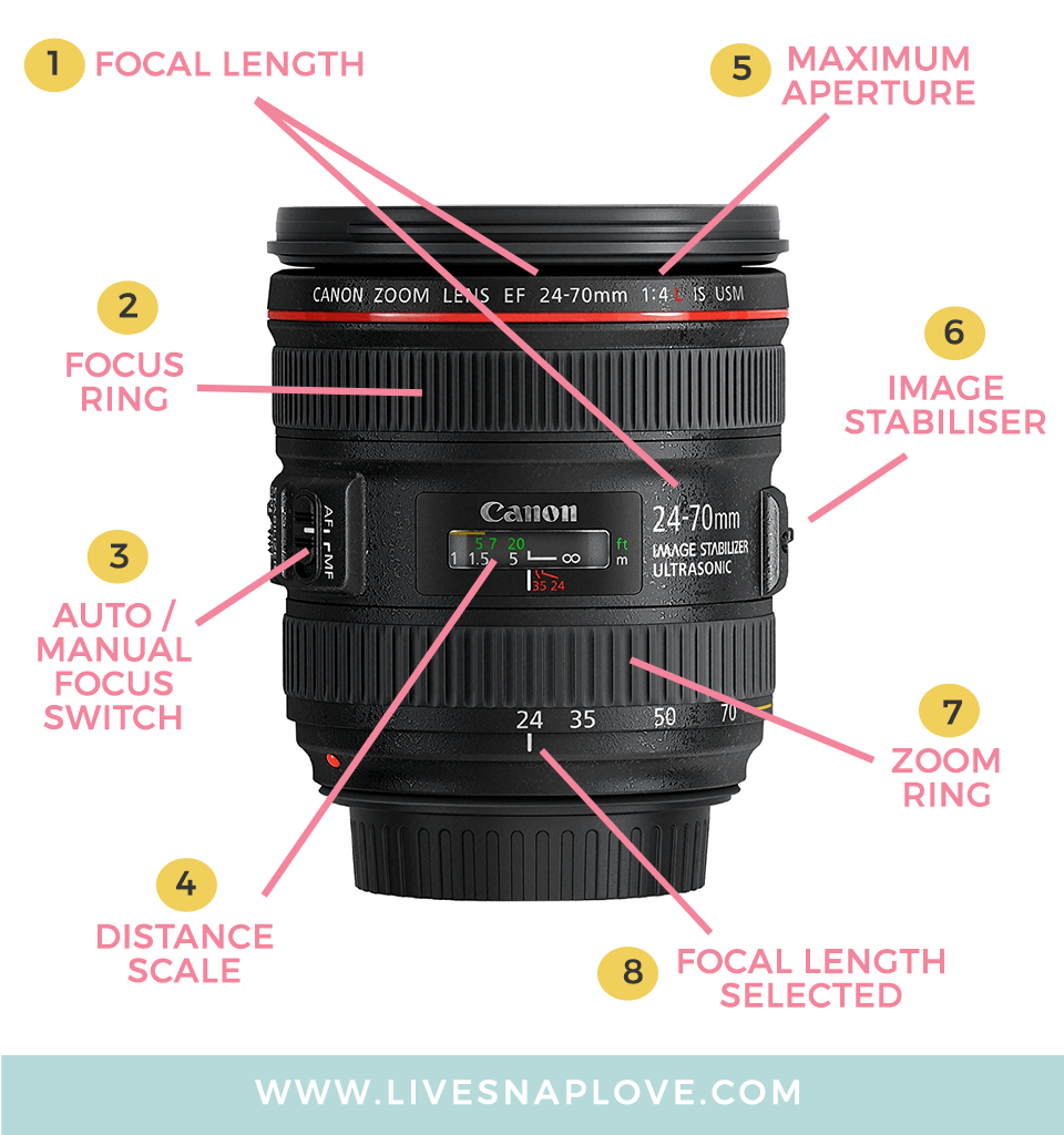 Can a Canon Camera Break Lens Focus Ring – Tamaggo