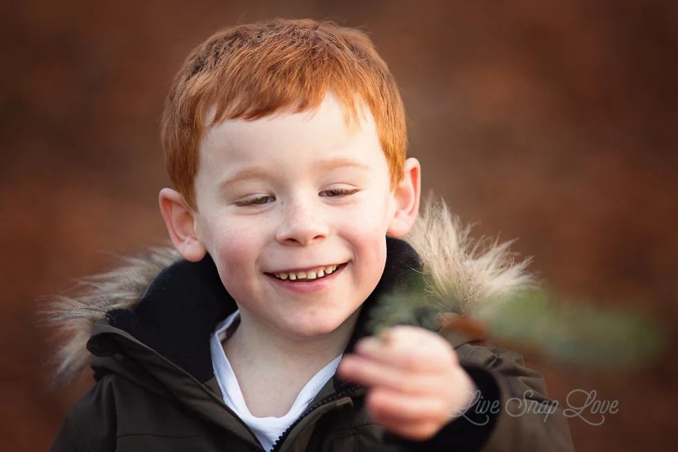 bokeh-4.jpg